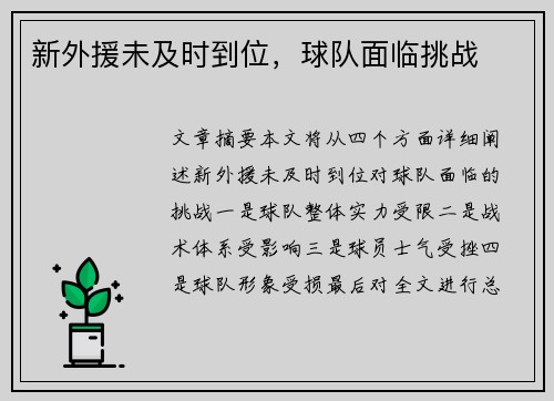 新外援未及时到位，球队面临挑战